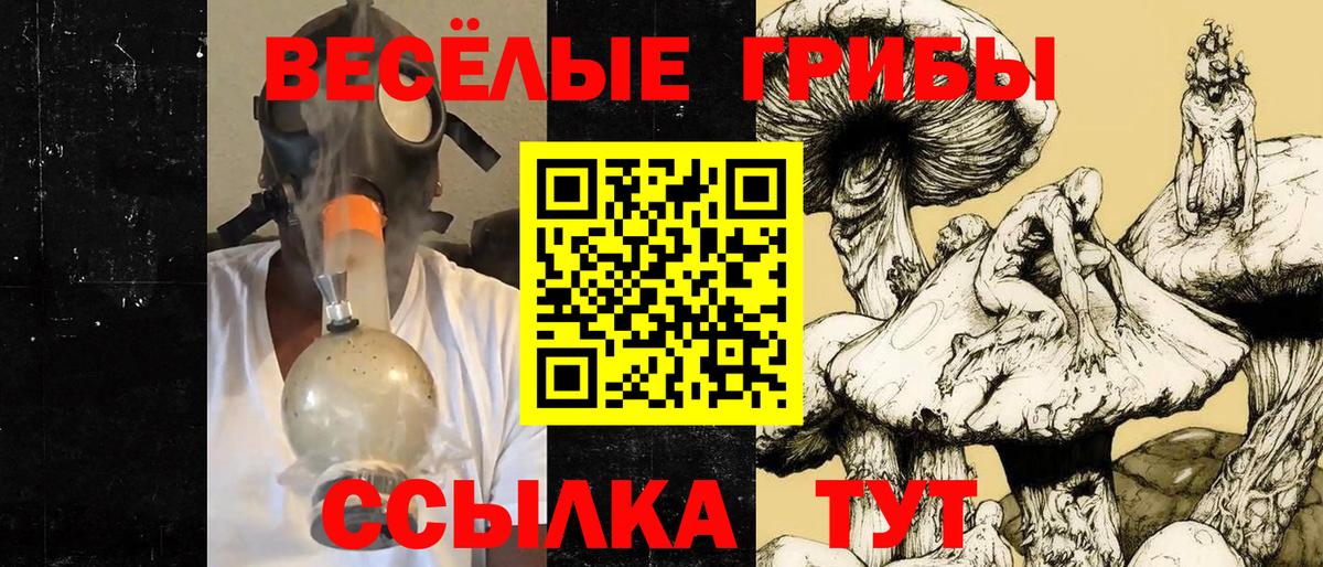 Галлюциногенные грибы Cubensis  Вход с VPN  Михайловка 