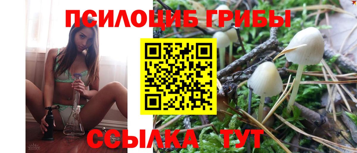 Галлюциногенные грибы мицелий Михайловка